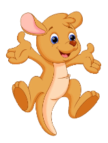 kangaroo